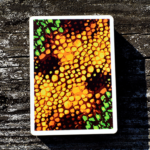 Baraja Kameleon Amarillo