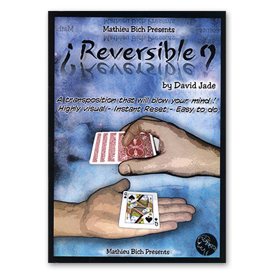 Reversible por David Jade y Mathieu Bich