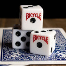 Dados Bicycle (Set de 10)
