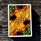Baraja Kameleon Amarillo