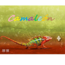 Camaleón por David Rimart