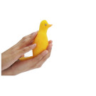 Canario de Esponja