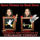 Dove Picture to Real Dove por Tora Magic