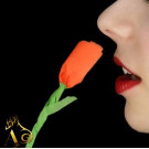 Papel Flash Premium 2 Colores (4 Hojas) por Alberico Magic