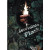Invisible Flash por Alberico Magic